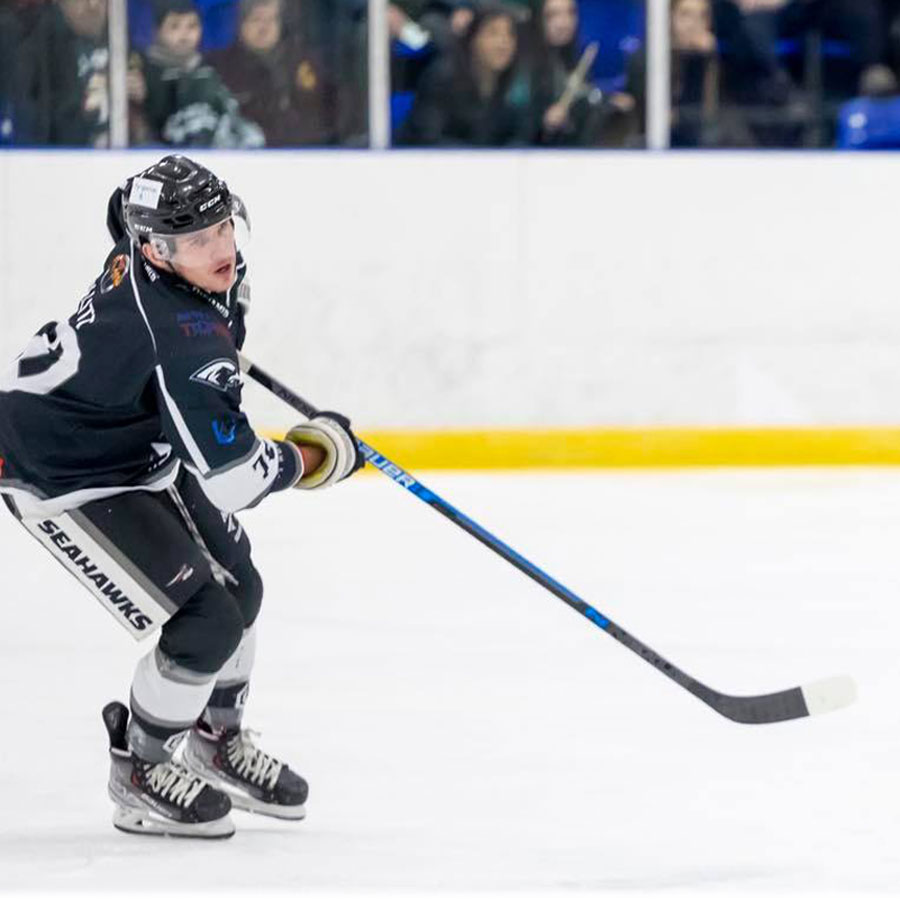 About Sheffield SteelDogs